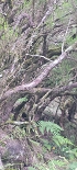 Plants: image 6 Of 208 Thumb